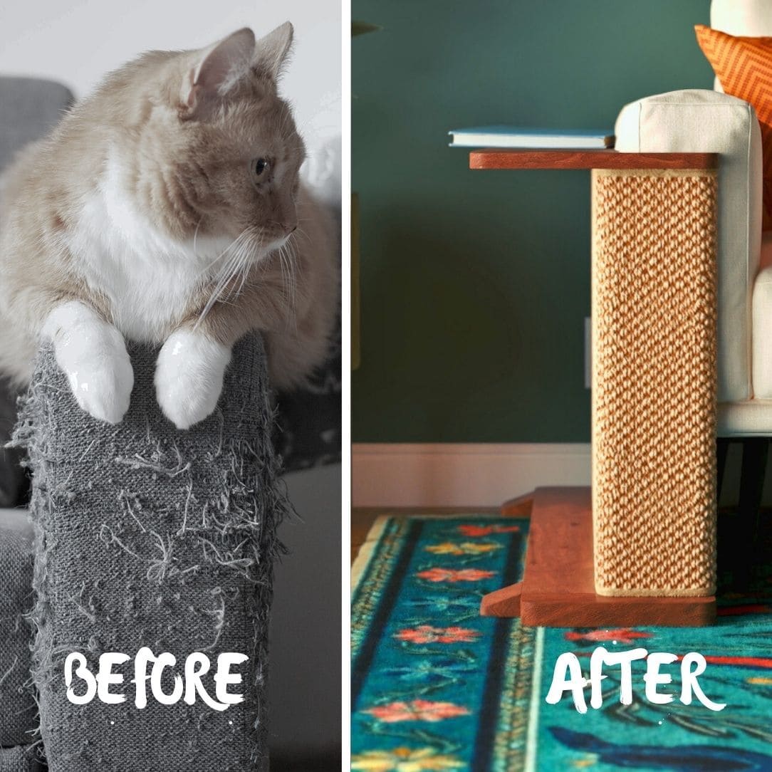 CozeCats Side Table