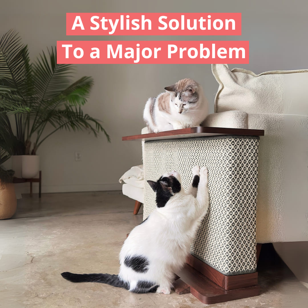 Cat Side Table with Scratcher — Keep Your Sofa Safe & Your Cat Happy