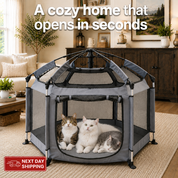 Pop-Up Portable Cat Play Tent | Soft Indoor Outdoor Folding Pet House for Cats
